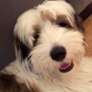 Meet your Posher, Delilah